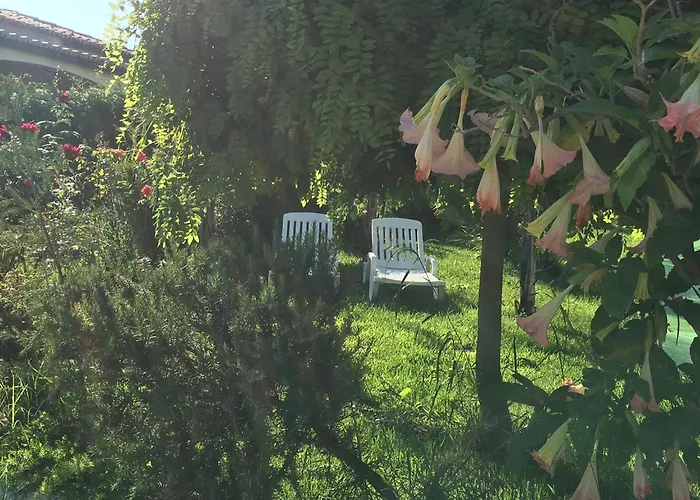 B&B A Casa Di Picci