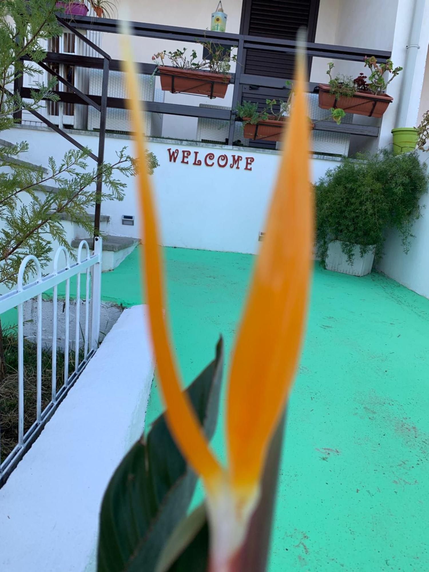 A Casa Di Picci Santa Domenica (Vibo Valentia)
