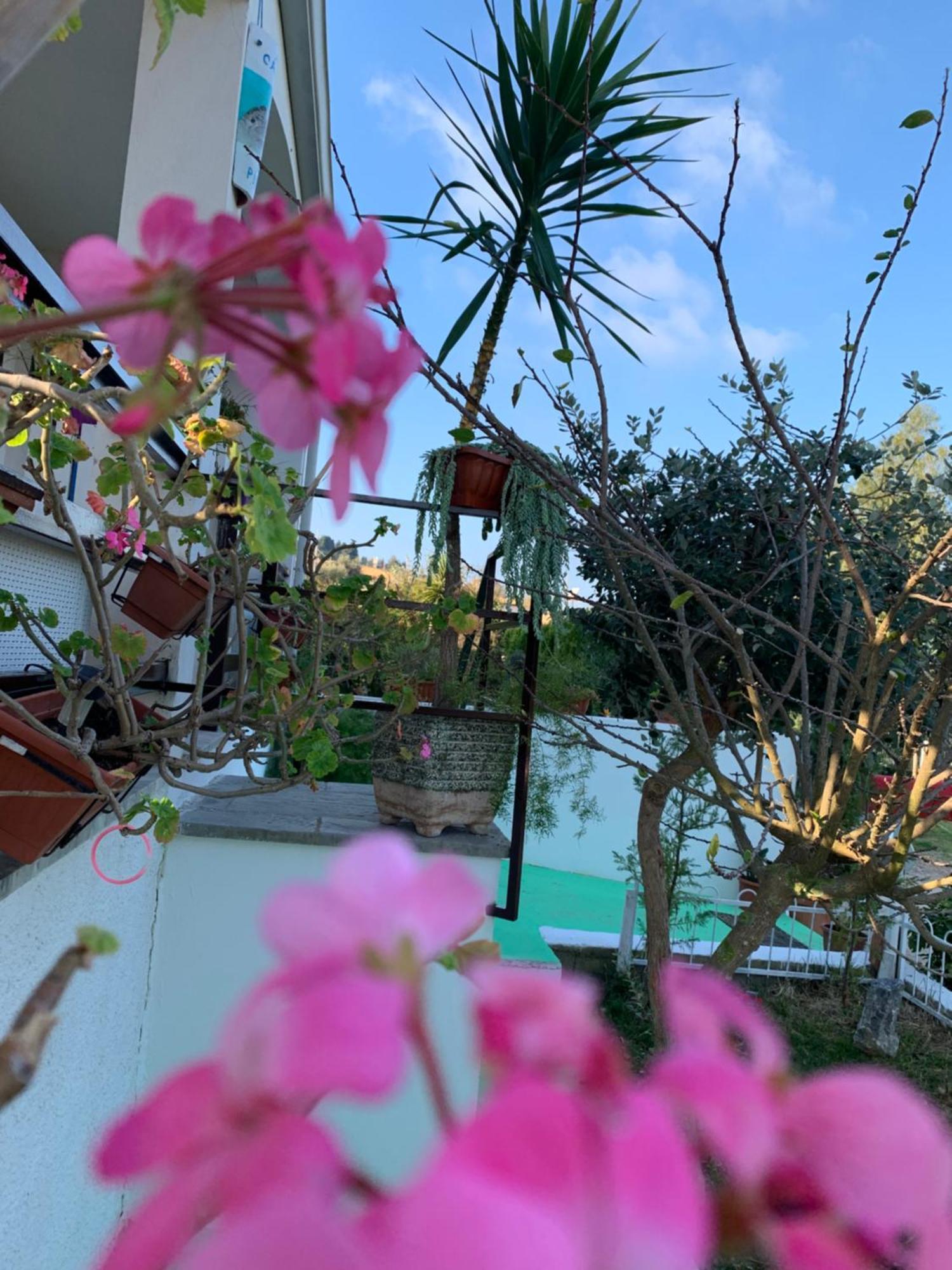 A Casa Di Picci