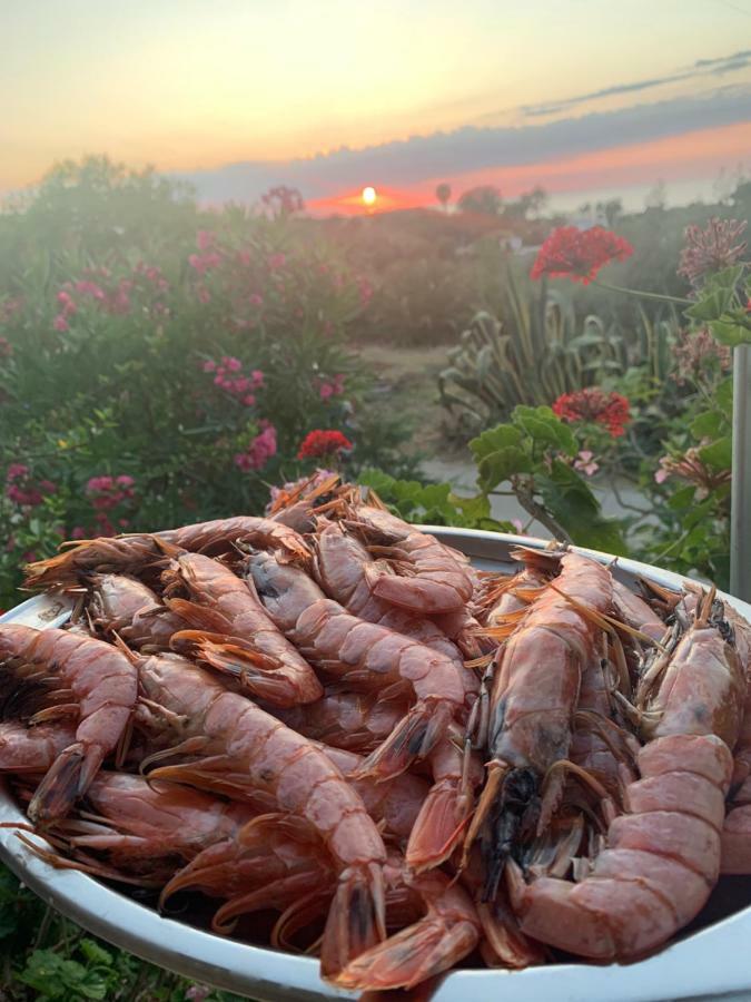 A Casa Di Picci Bed & Breakfast