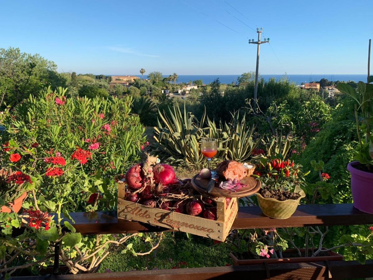 Bed & Breakfast A Casa Di Picci