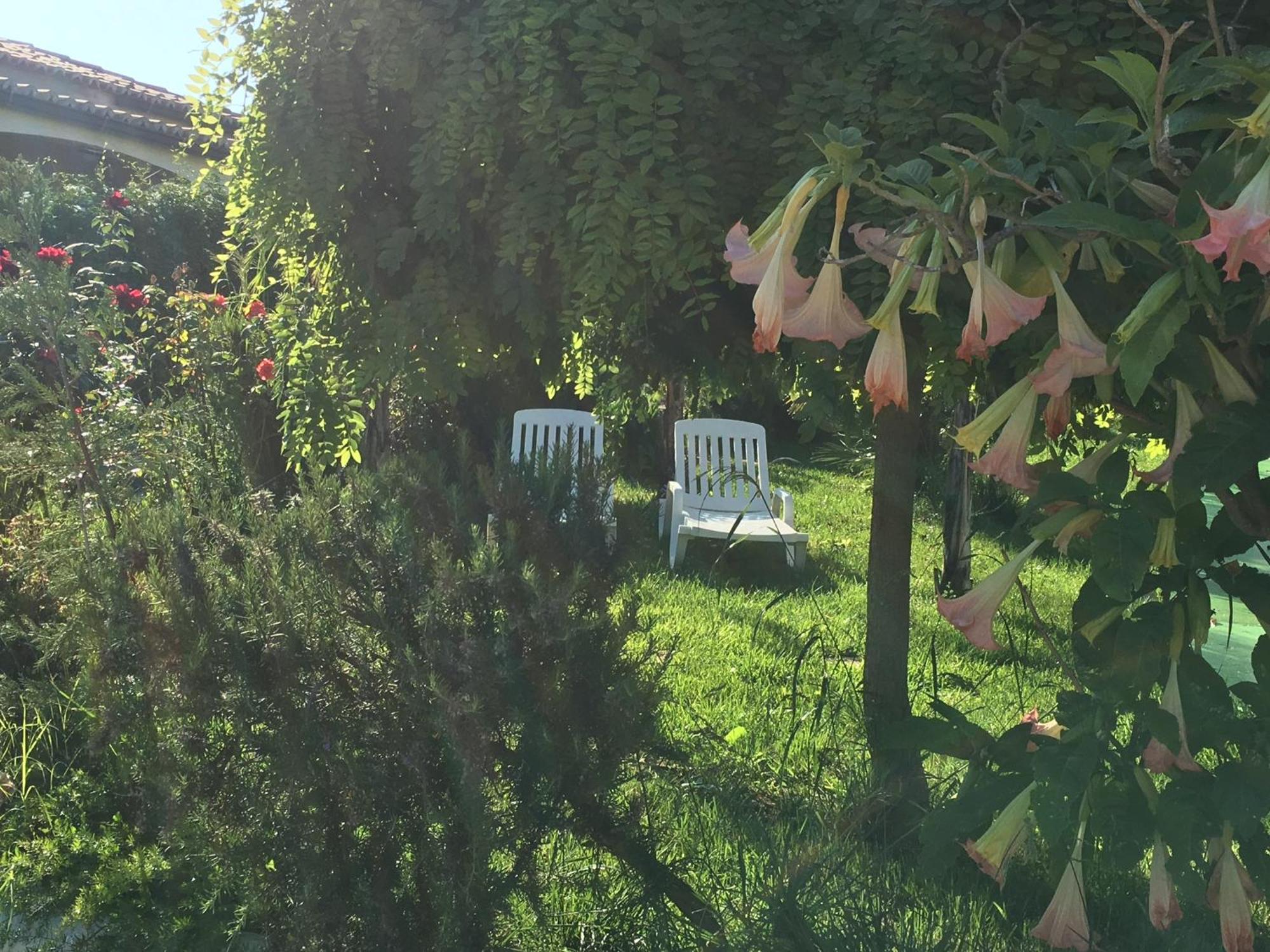 A Casa Di Picci Santa Domenica (Vibo Valentia)